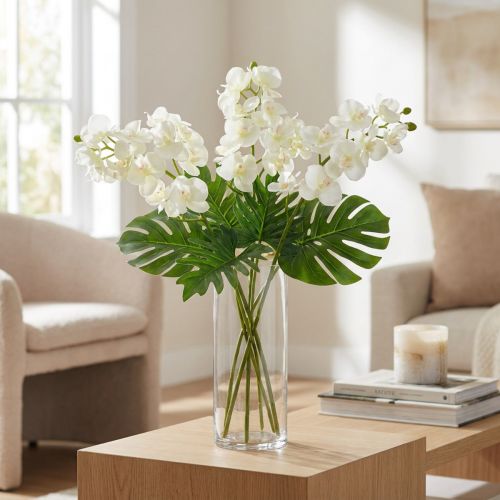 Orchid Cream-White L57cm 6 pcs | Floristik24.co.uk