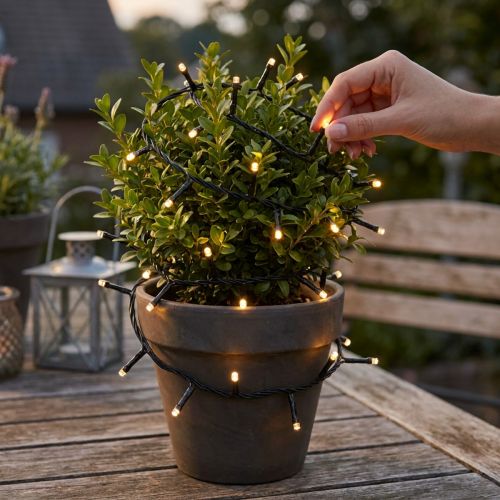 LED string lights, 144 pieces, black, warm white, for outdoor use, 1.2m | Floristik24.co.uk