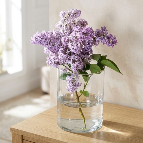 Glass vase clear cylindrical Ø12cm H20cm | Floristik24.co.uk