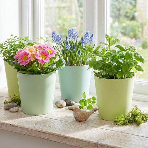 Paper pot, cachepot, planter blue/green Ø11cm H10cm 4pcs | Floristik24.co.uk