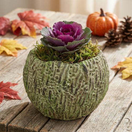 Planter concrete antique look green, brown planter Ø13cm | Floristik24.co.uk