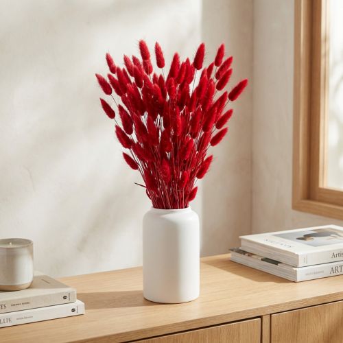 Rabbit's Tail Grass (Lagurus) Dried Red 60cm 50g Dried Flower Decoration | Floristik24.co.uk