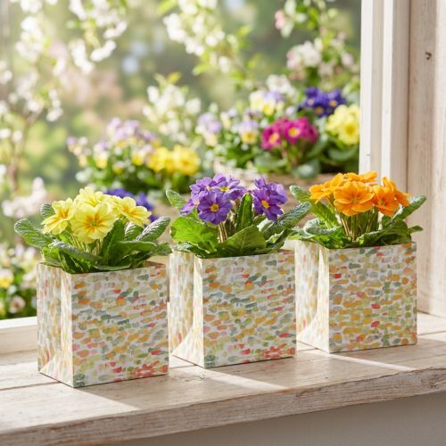 Gift Bag Plant Bag Present Bag Patterned 12cm 8 Pcs | Floristik24.co.uk