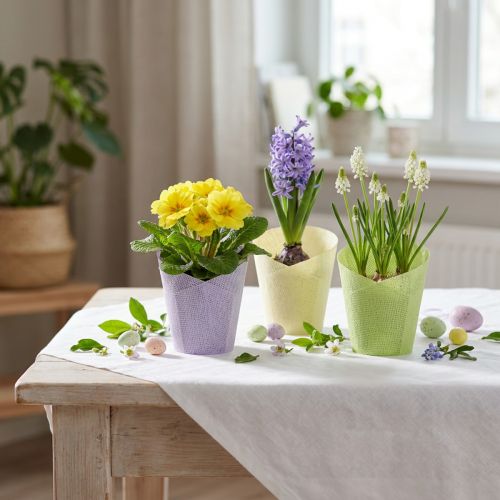 Plant pot woven planter paper green, yellow, purple Ø7cm H13cm 12pcs | Floristik24.co.uk