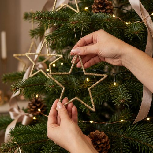 Product Christmas decoration star pendant golden glitter 12cm 12pcs