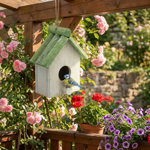 Hanging decoration birdhouse wood green white 14.5×7.5×17.5cm | Floristik24.co.uk