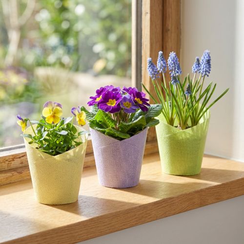 Product Plant pot woven paper green yellow purple Ø9cm H18cm 9 pcs