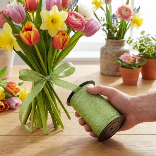 Decorative ribbon Magnetico Metallic Green 10mm 100m | Floristik24.co.uk