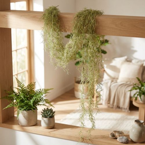 Tillandsia decoration hanging Tillandsia artificial green white 180cm | Floristik24.co.uk