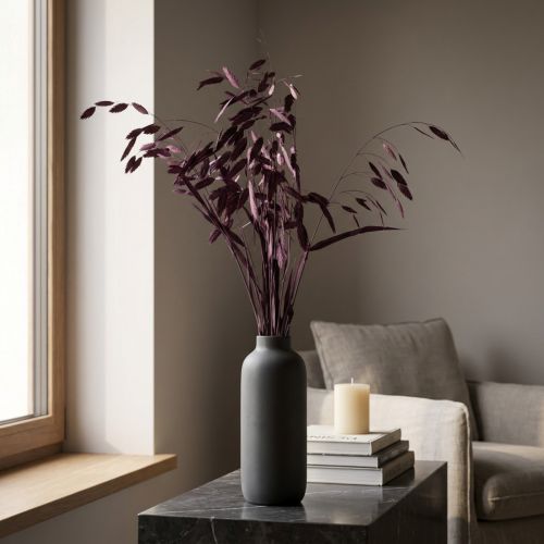 Product Dried Grass Sea Oats Chasmantium latifolium Purple 70cm 10pc