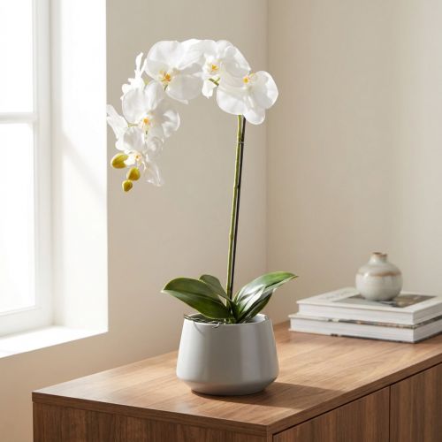 Artificial orchid plant,