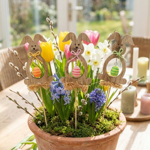 Easter bunny wood, flower plugs Easter, bunny plugs 8.5cm 12pcs | Floristik24.co.uk