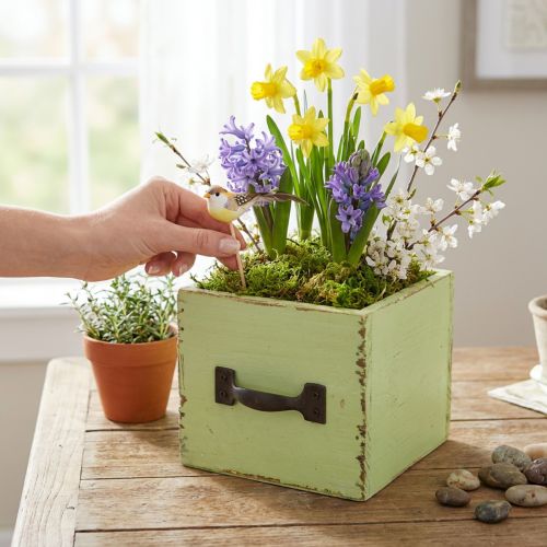 Planter drawer light green shabby chic 12.5×12.5×10cm | Floristik24.co.uk