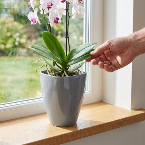 Orchid pot glossy Ø12.5cm grey 1 pc | Floristik24.co.uk