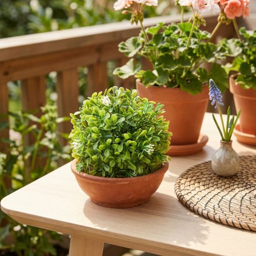 Mini boxwood ball with flowers box ball green Ø10cm | Floristik24.co.uk
