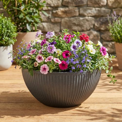 Plant pot bowl plastic anthracite Ø40cm H18.5cm | Floristik24.co.uk