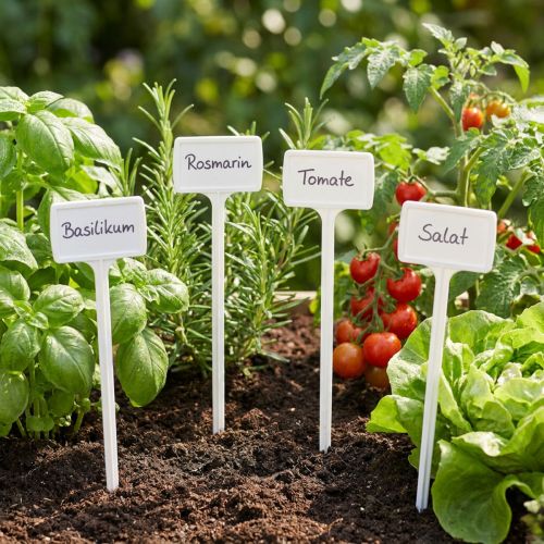 Plant label for changing 40cm 10pcs. | Floristik24.co.uk