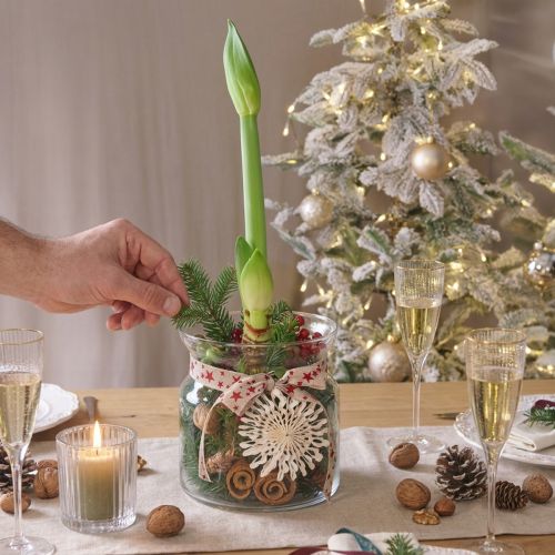 Decorative Glass Vase Lantern Glass Clear Ø18cm H20cm | Floristik24.co.uk