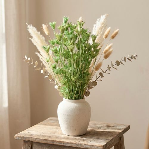 Dried flowers black cumin green nigella 50cm 100g | Floristik24.co.uk