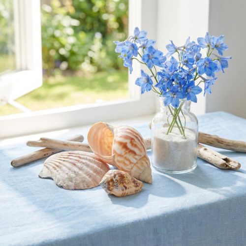 Shell decoration sea snail natural 350g × 3pcs | Floristik24.co.uk