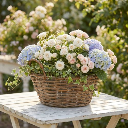 Planter basket, shabby chic, natural white, H14cm Ø30cm with handles, vintage decor | Floristik24.co.uk