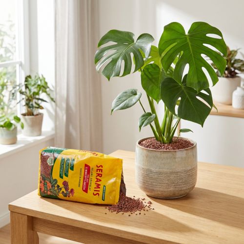 Seramis plant granules for houseplants 2.5l | Floristik24.co.uk