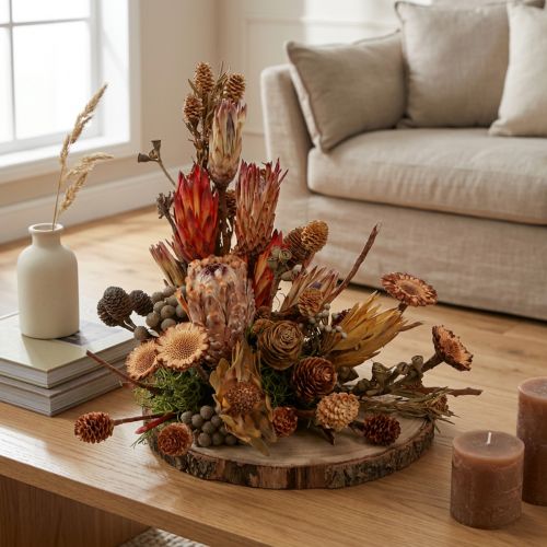 Dried Exotic Protea Cones Bellgum 24–48cm 580g - Artificial Flower Decoration South Africa | Floristik24.co.uk