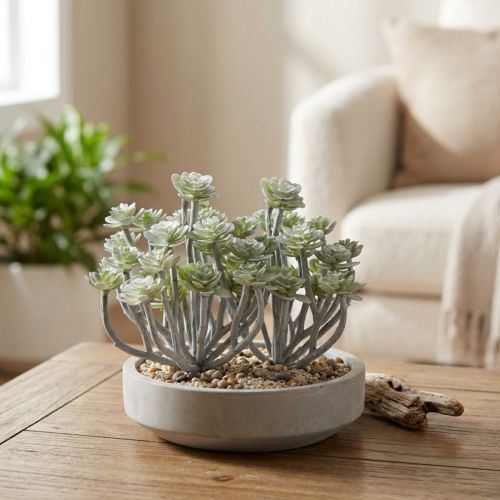 Stonecrop Artificial Succulents Artificial Plants 16cm 4 pcs | Floristik24.co.uk