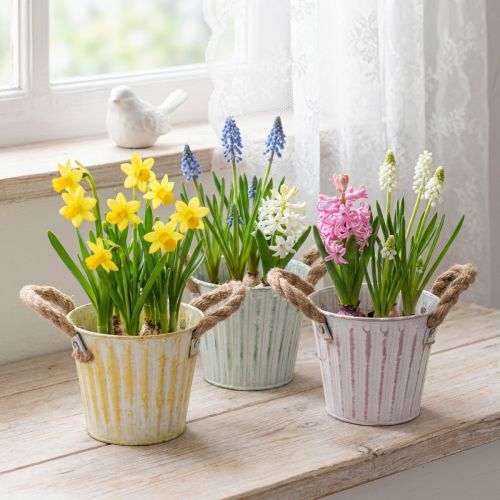 Planting bucket, metal pot with handles, decorative planter, pink/green/yellow, shabby chic, Ø12cm, H10cm, set of 3 | Floristik24.co.uk