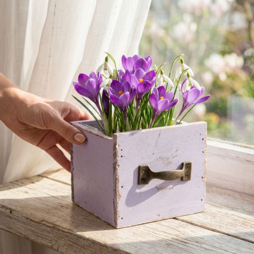 Drawer Shabby Chic Deco Wood Purple Spring Deco 12.5×12.5×10cm | Floristik24.co.uk