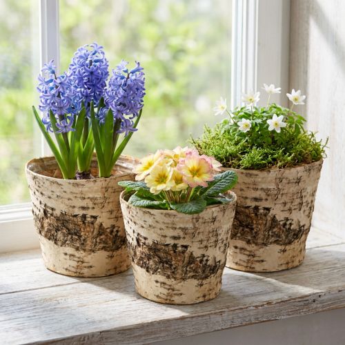 Birch pot planter made of bark with foil Ø15cm H13cm 3pcs | Floristik24.co.uk