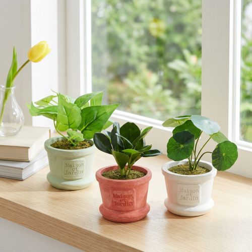 Artificial Green Plants Mini Plants in Pot 15cm 3pcs | Floristik24.co.uk