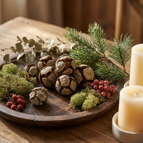 Cypress Cones Natural 3-7cm 500g Decorative Use | Floristik24.co.uk