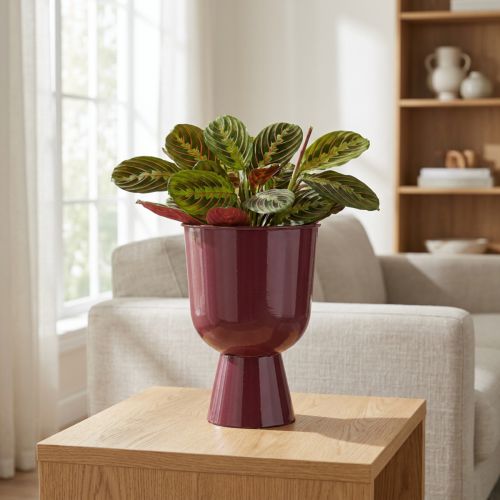 Product Goblet Flower Pot cup-shaped Modern style decor for home and office 23cm