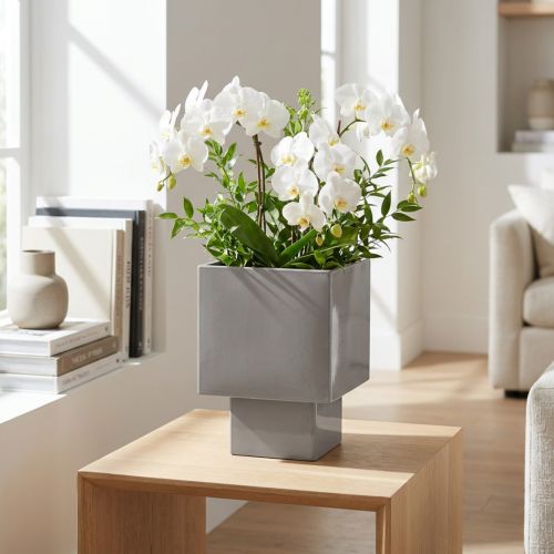 Product Grey Metal Cube Planter with Base 22cm for Indoor Decoration