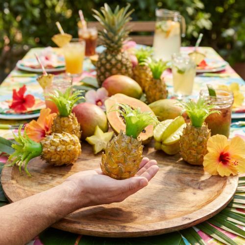 Mini Pineapple Set Decorative Fruit Artificial Tropical Party 6 Pieces | Floristik24.co.uk