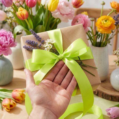 Gift ribbon green ribbon lime green 25mm 50m | Floristik24.co.uk