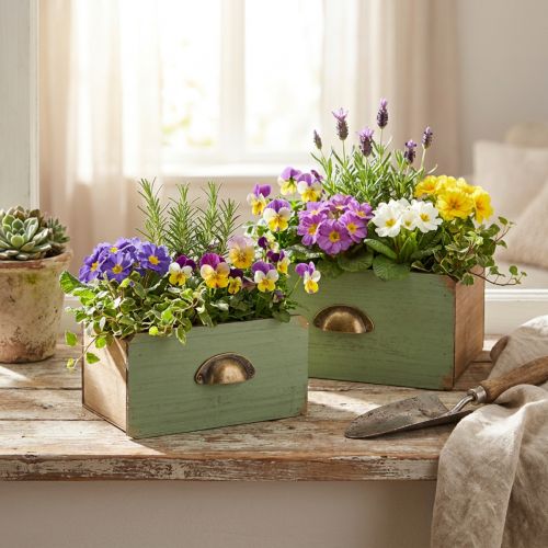 Planter Wooden Drawers Decoration 22/18cm Set of 2 | Floristik24.co.uk