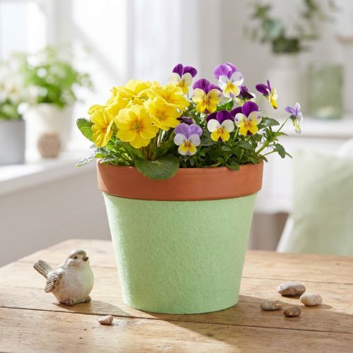 Felt Ribbon Pot Ribbon Light Green 15cm 5m | Floristik24.co.uk