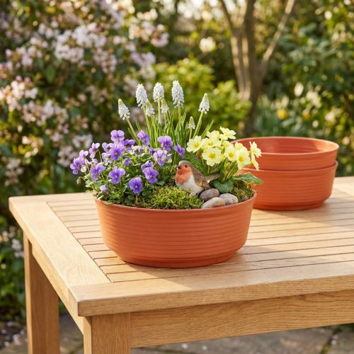Z-bowl plastic Ø22cm 10 pcs | Floristik24.co.uk