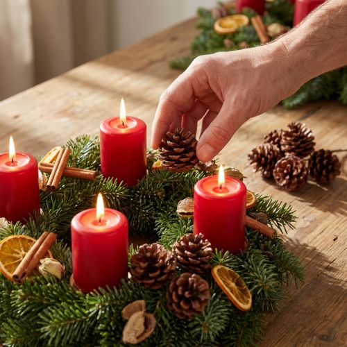 Pine cones waxed wired 100 pcs | Floristik24.co.uk