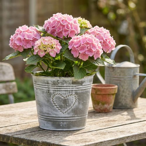 Shabby Chic metal flower pot with heart-shaped design, Ø22cm, H17.5cm | Floristik24.co.uk