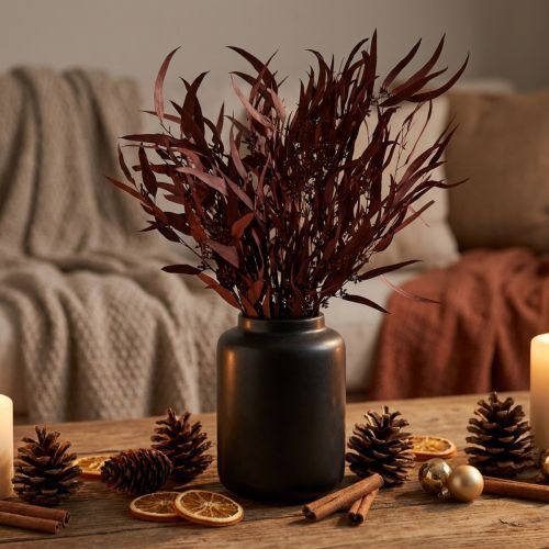 Eucalyptus Preserved Eucalyptus Branches Red, Brown 56cm 135g | Floristik24.co.uk