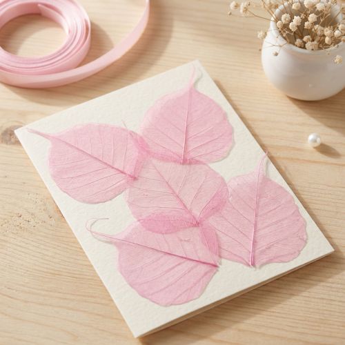 Skeleton leaves, pink decorative willow leaves 5-9cm, 200 pieces - Ideal for greeting cards & DIY | Floristik24.co.uk