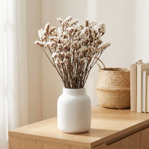 White sea lavender (Limonium) dried flowers, 60cm, 35g | Floristik24.co.uk