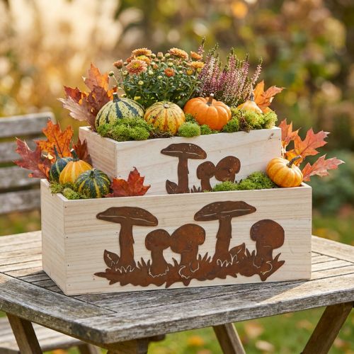 Plant box set, wooden boxes with mushrooms, autumn decoration, stainless steel L40 / 30cm, set of 2 | Floristik24.co.uk