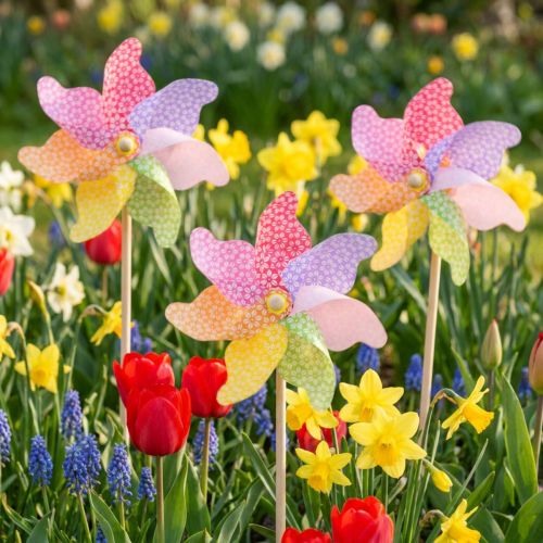 Windmill Decoration Windmill Natural Colorful Ø21.5cm H55cm 3pcs | Floristik24.co.uk