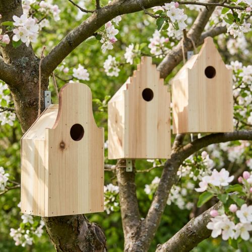 Product Birdhouse wooden incubator blue tit fir H22,5cm 3pcs
