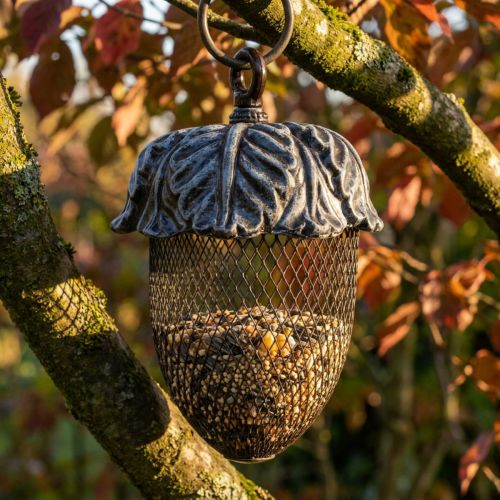 Product Feeding place acorn for hanging metal Ø13cm H20.5cm