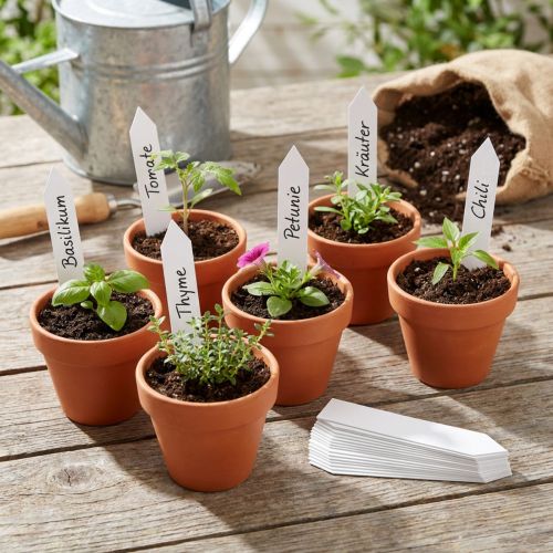 Stick-on labels 17mm x 80mm 250 pcs | Floristik24.co.uk